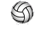 volleybal